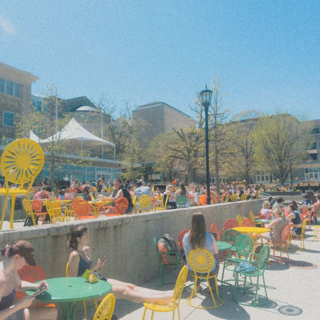Memorial Union is back and so are the lake flies - check out the next slide for some tips!